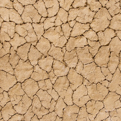 Cracks in the ground