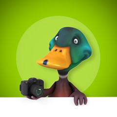 Duck