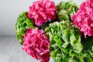 Store enrouleur Hortensia main tenant un bouquet d& 39 hortensias de couleur verte et rose sur fond blanc. couleurs vives. nuage. 50 nuances