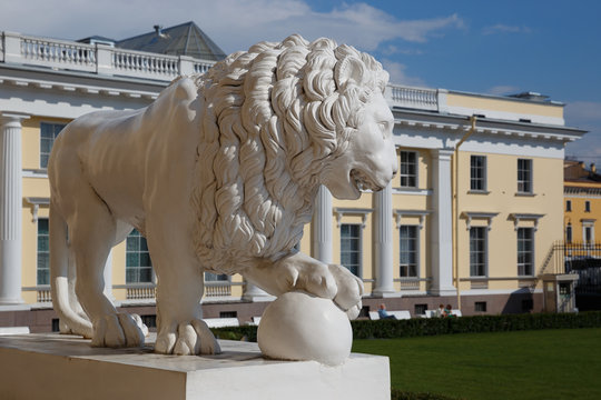 Lion sculpture at the entrance to the building of the Russian Museum in St. Petersburg, Russia.