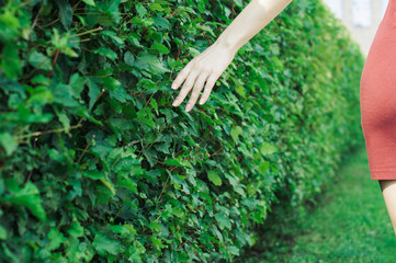 girl in a dress gently touches the hand green bush leaves