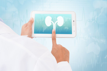 Doctor hand touch screen Kidneys symbol on a tablet. medical icon