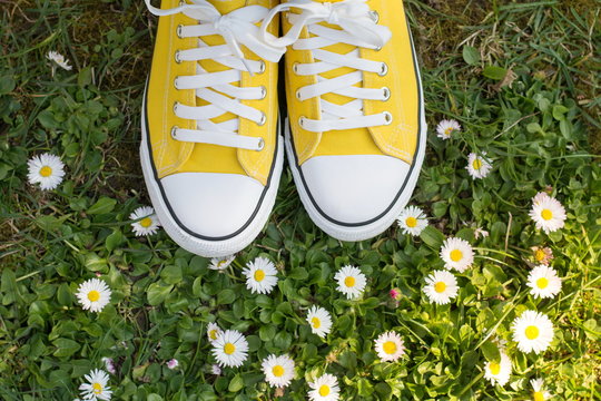 Yellow sneakers in a dasiy field