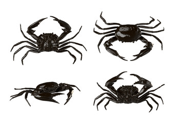 Crabs isolated on White Background. 3D illustration