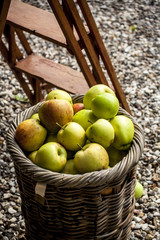 Fresh organic apple in a basket