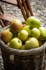 Fresh organic apple in a basket