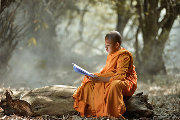 Buddhist monks are reading Novice learning,Thailand,vintage style