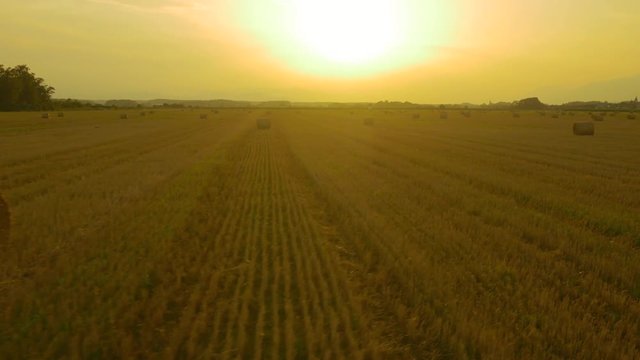 AERIAL: Bales of hay on a field at sunset