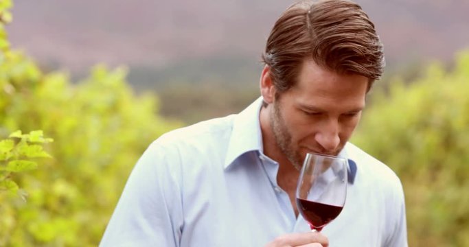 Young winegrower looking and smelling wine