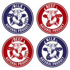 Fototapeta premium cow hand drawn vector llustration sketch. set vector logo design template. farm icon