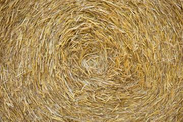 Strohballen Hintergrund