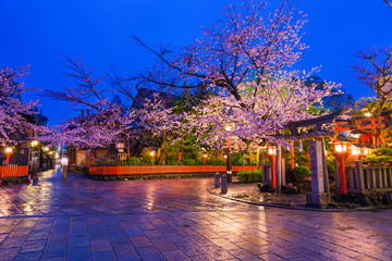 京都　祇園　辰巳大明神　桜　夜景