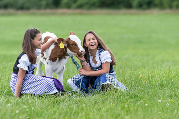 Two Girls having fun with a little Cow