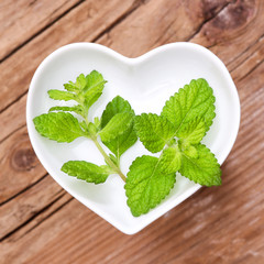 Homöopathie und Kochen mit Heilkräutern, Melisse