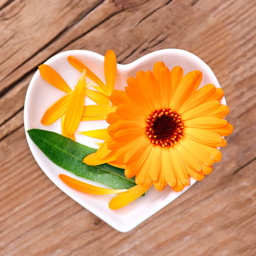 Homöopathie und Kochen mit Heilkräutern, Ringelblume