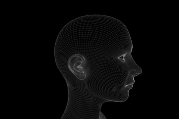 Female Human Wireframe Hologram in Motion. Nice 3D Rendering
