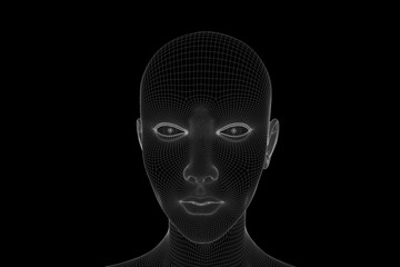 Female Human Wireframe Hologram in Motion. Nice 3D Rendering
