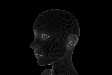 Female Human Wireframe Hologram in Motion. Nice 3D Rendering
