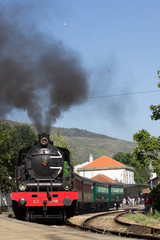 Fototapeta na wymiar Comboio Histórico do Douro