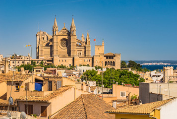 View to the famous cathedral of Palma Majorca Spain © vulcanus