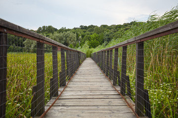 Fototapeta na wymiar Wooden bridge over swamp