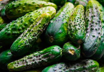 cucumbers