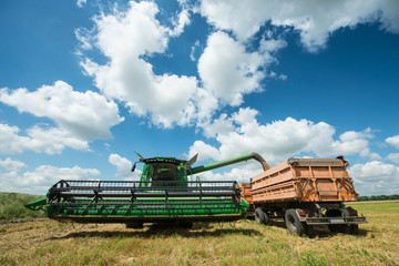 Fototapeta premium Combine harvester transferring freshly harvested wheat to tractor-trailer for transport