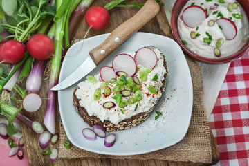 Deftiges Vesper mit Lauchzwiebeln und Radieschen an Frischkäsebrot