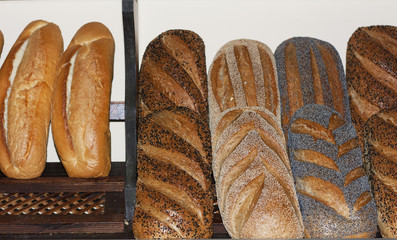 Assortment of baked bread photo
