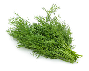 Fresh dill