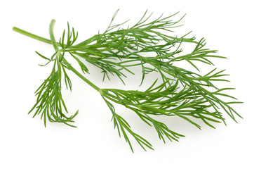 Fresh dill