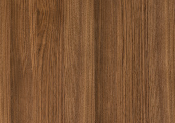 Obraz premium background of Walnut wood surface