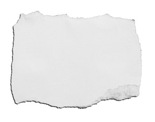 Obraz premium Torn paper, isolated on white background.