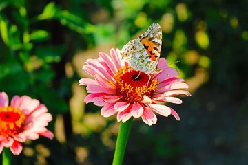 The nature is creator of all creators.