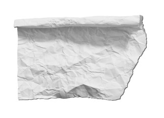 Obraz premium Torn paper, isolated on white background.