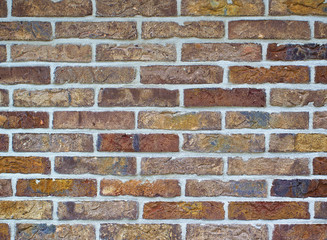 Multi Colored Bricks Background