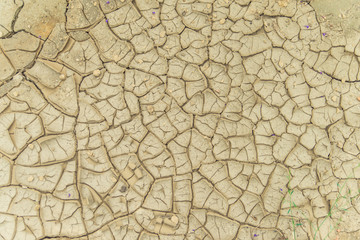 Cracked dry land in a desert