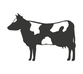 cow isolated icon design