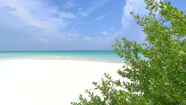 White sandy beach and blue ocean in exotic island 