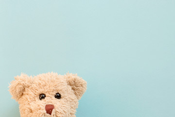 Teddy bear on pastel background