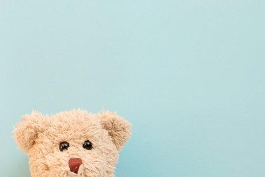 Naklejka Teddy bear on pastel background