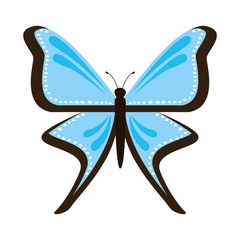 Beautiful and colorful butterfly isolated icon design