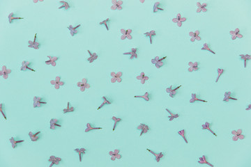 Flat lay stylish set: Lilac flowers on pastel background. Top view.