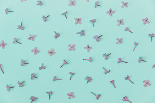 Fototapeta Flat lay stylish set: Lilac flowers on pastel background. Top view.