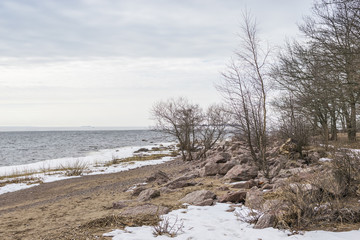 Snow-covered beach on the Gulf of Finland near St. Petersburg