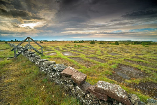 Réserve naturelle de Stora Alvaret sur Öland - Adobe Stock