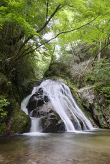 新緑の背戸峨廊