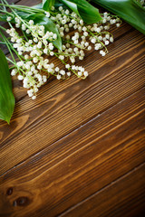 blooming lily of the valley