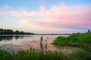 Fototapeta na wymiar Pink clouds over a lake at sunset .