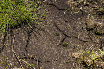 Cracked floor background